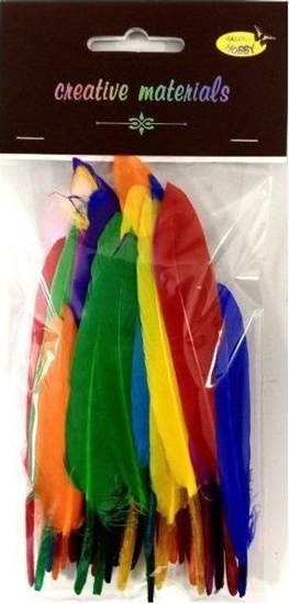 Picture of Piórka twarde 15cm 50szt