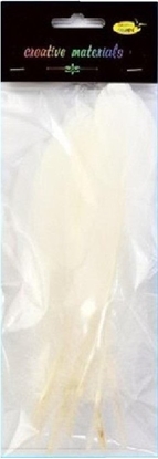 Picture of Piórka twarde biae 10szt