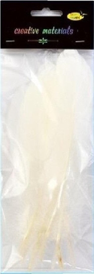 Picture of Piórka twarde biae 10szt