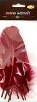 Attēls no Piórka twarde bordowe 10szt