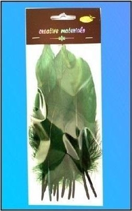 Attēls no Piórka twarde ciemnozielone 10szt