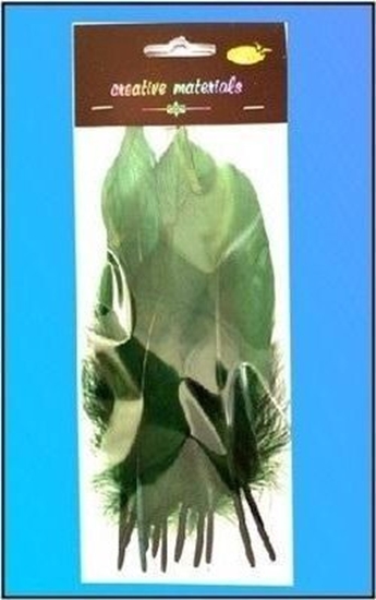 Picture of Piórka twarde ciemnozielone 10szt