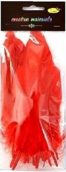 Изображение Piórka twarde czerwone 10szt