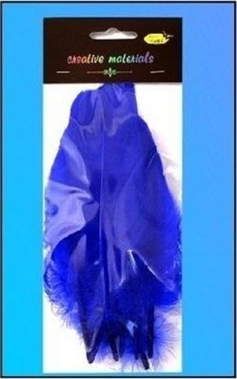 Picture of Piórka twarde granatowe 10szt