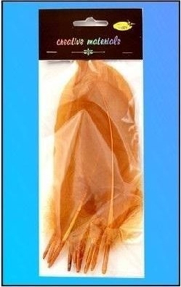 Attēls no Piórka twarde jasnobrzowe 10szt