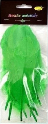 Picture of Piórka twarde jasnozielone 10szt