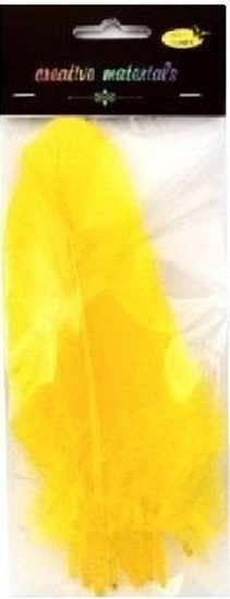 Picture of Piórka twarde óte 10szt