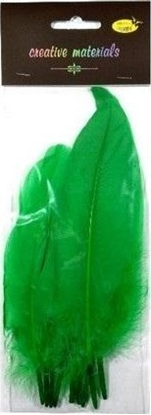 Attēls no Piórka twarde zielone 10szt