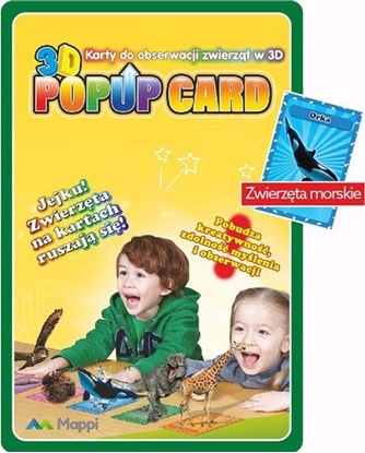 Изображение Pitka Zwierzta morskie - Karty do obserwacji zwierzt w 3D