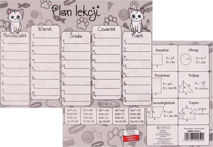 Picture of Plan lekcji A5 Brytyjczyk (25szt)