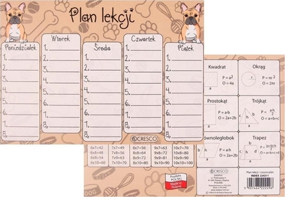 Picture of Plan lekcji A5 Buldog (25szt)