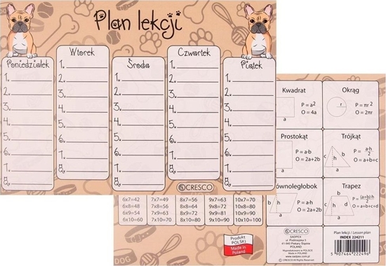 Picture of Plan lekcji A5 Buldog (25szt)