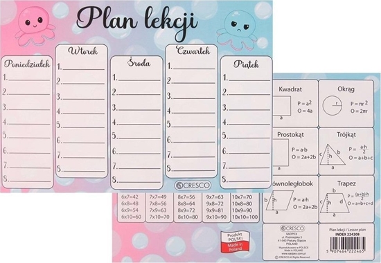 Picture of Plan lekcji A5 Omiornica (25szt)