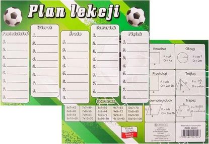 Picture of Plan lekcji A5 Pika (25szt)