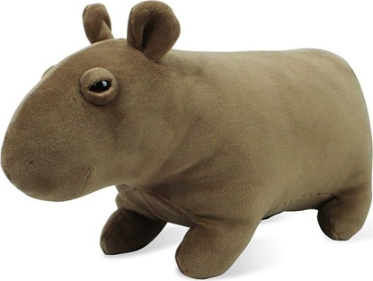 Picture of Pluszak Kapibara