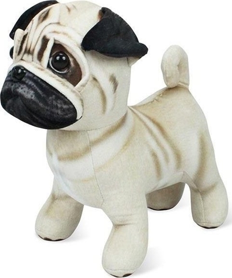 Picture of Pluszak Mops