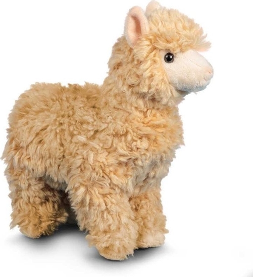 Picture of Pluszowa alpaka