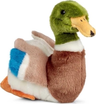 Picture of Pluszowa kaczka