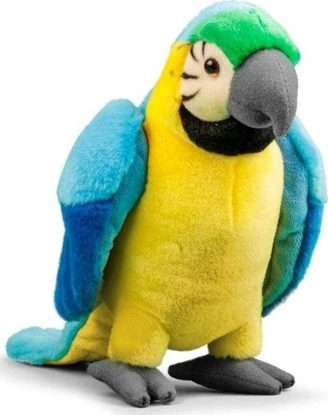Picture of Pluszowa papuga niebieska
