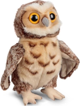 Изображение Pluszowa sowa