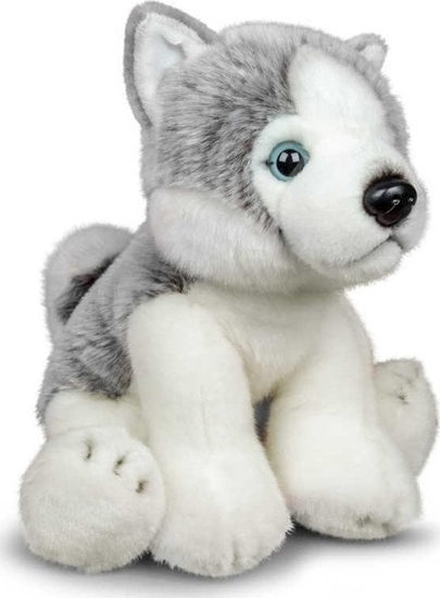 Изображение Pluszowy Husky