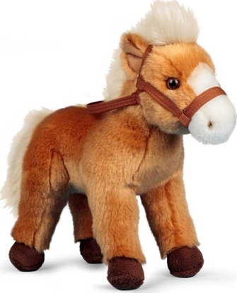 Picture of Pluszowy konik