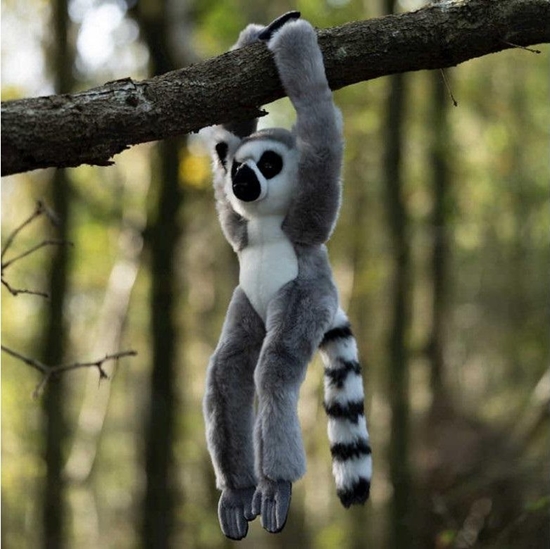 Picture of Pluszowy lemur na rzepy