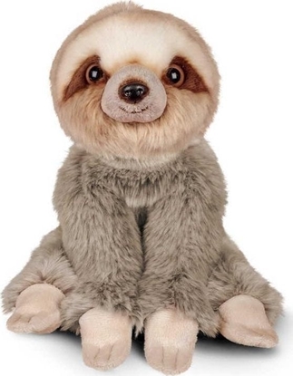 Изображение Pluszowy leniwiec