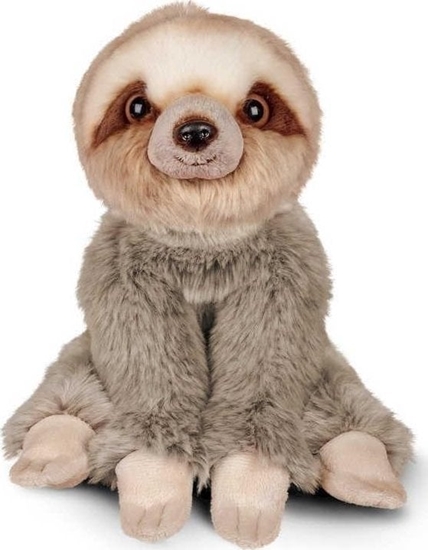 Изображение Pluszowy leniwiec