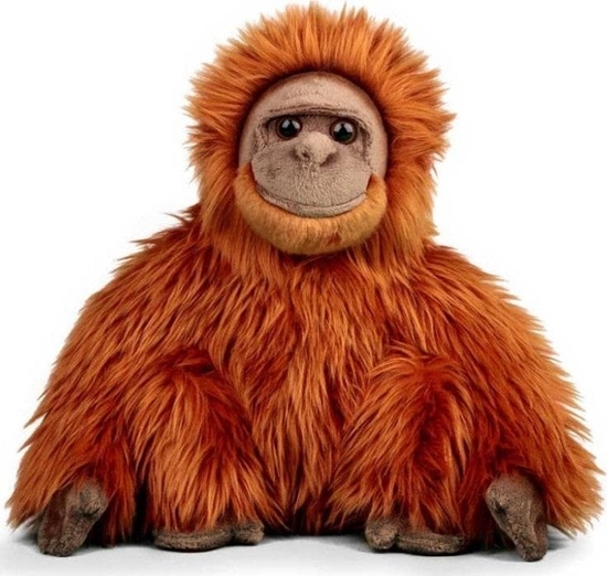 Picture of Pluszowy orangutan