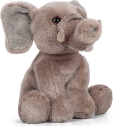 Picture of Pluszowy so