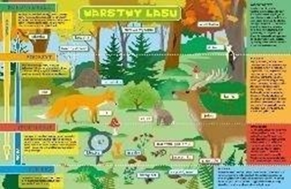 Picture of Podkadka na biurko - Warstwy lasu i ka