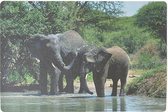Изображение Podkadka na biurko piankowa sonie 60x40cm