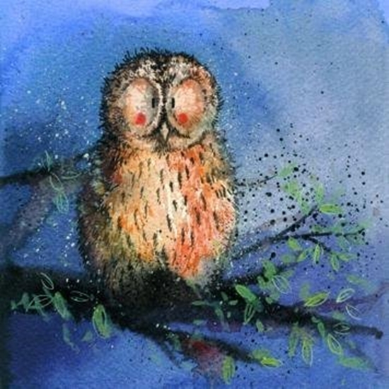 Picture of Podkadka pod kubek C50 Nocna sowa