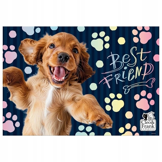 Picture of PODKLAD NA BIURKO KART OKLEJ 345X495CLEOFRANK 44