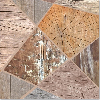 Attēls no POLMAK serwetka lunch SLOG048701 biae storczyki