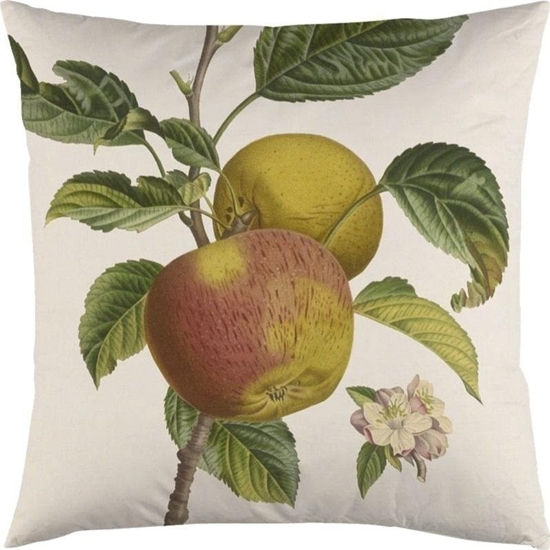 Picture of Poszewka na poduszk 50x50cm - Jabo