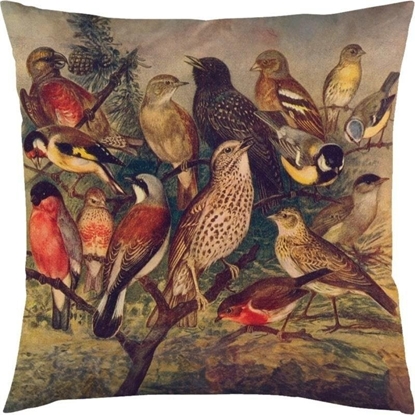 Изображение Poszewka na poduszk 50x50cm - Ptaki