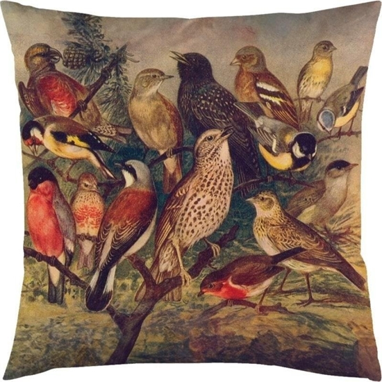 Изображение Poszewka na poduszk 50x50cm - Ptaki