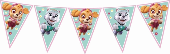 Picture of PROCOS Baner flagi Psi Patrol Skye i Everest - 230 cm - 1 szt. uniwersalny