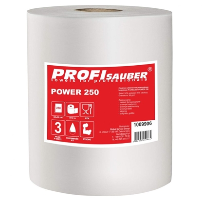 Attēls no Profi Sauber Absorbent nonwoven industrial cleaning cloth ProfiSauber POWER 250