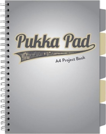 Picture of Project Book Grey A4/100 kratka szary (3szt)