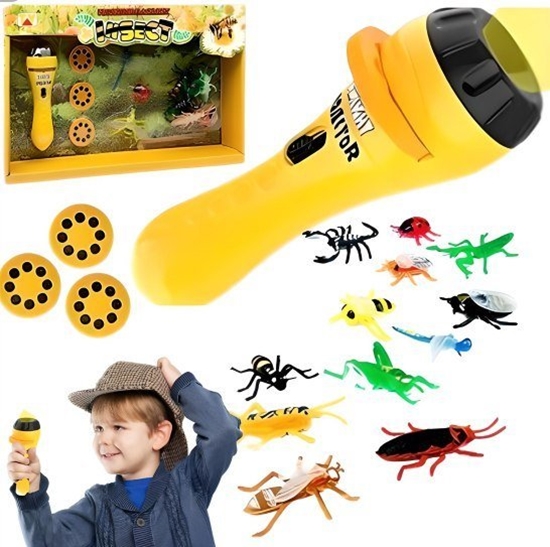Picture of PROJECTION FLASHLIGHT INSECT