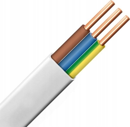 Изображение Przewód lsk Przewód YDYp 3x1,5mm2 paski instalacyjny 450/750V biay odwijany z bbna 172152001S0500