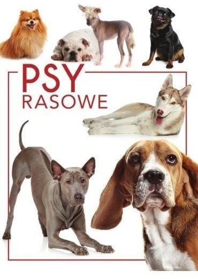 Picture of Psy rasowe