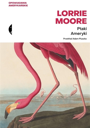 Изображение Ptaki Ameryki EDUKAMP