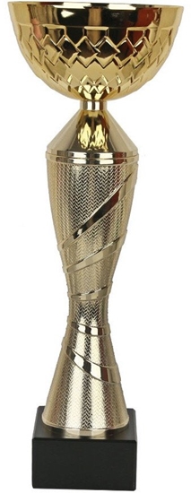 Изображение Puchar Tryumf W2180