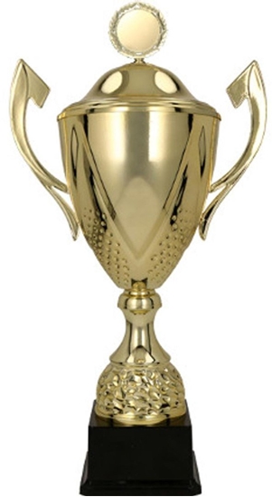 Picture of Puchar z przykrywk DARKA