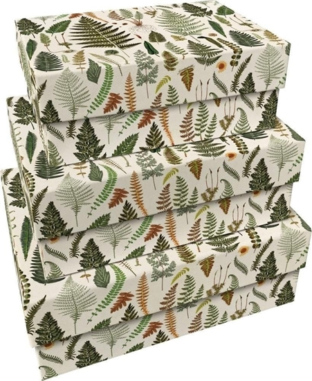 Изображение Pudeka ozdobne Paprocie 3szt