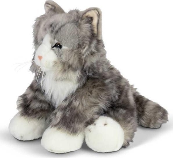 Picture of Puszysty Kot